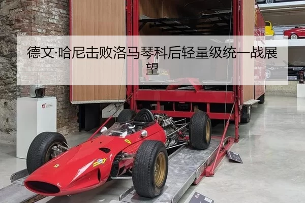 德文·哈尼击败洛马琴科后轻量级统一战展望